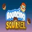 Bouncing Squirrel