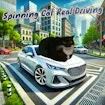 Spinning Cat Real Driving